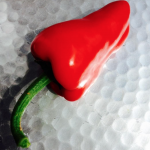 Screen Shot 2022-03-14 at 8.57.00 PM